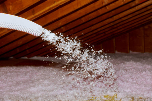Best Types of Insulation in Hawaiian Acres, HI