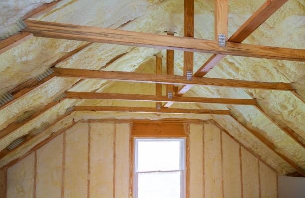Best Types of Insulation in Hawaiian Acres, HI